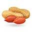 Peanuts