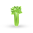 Celery